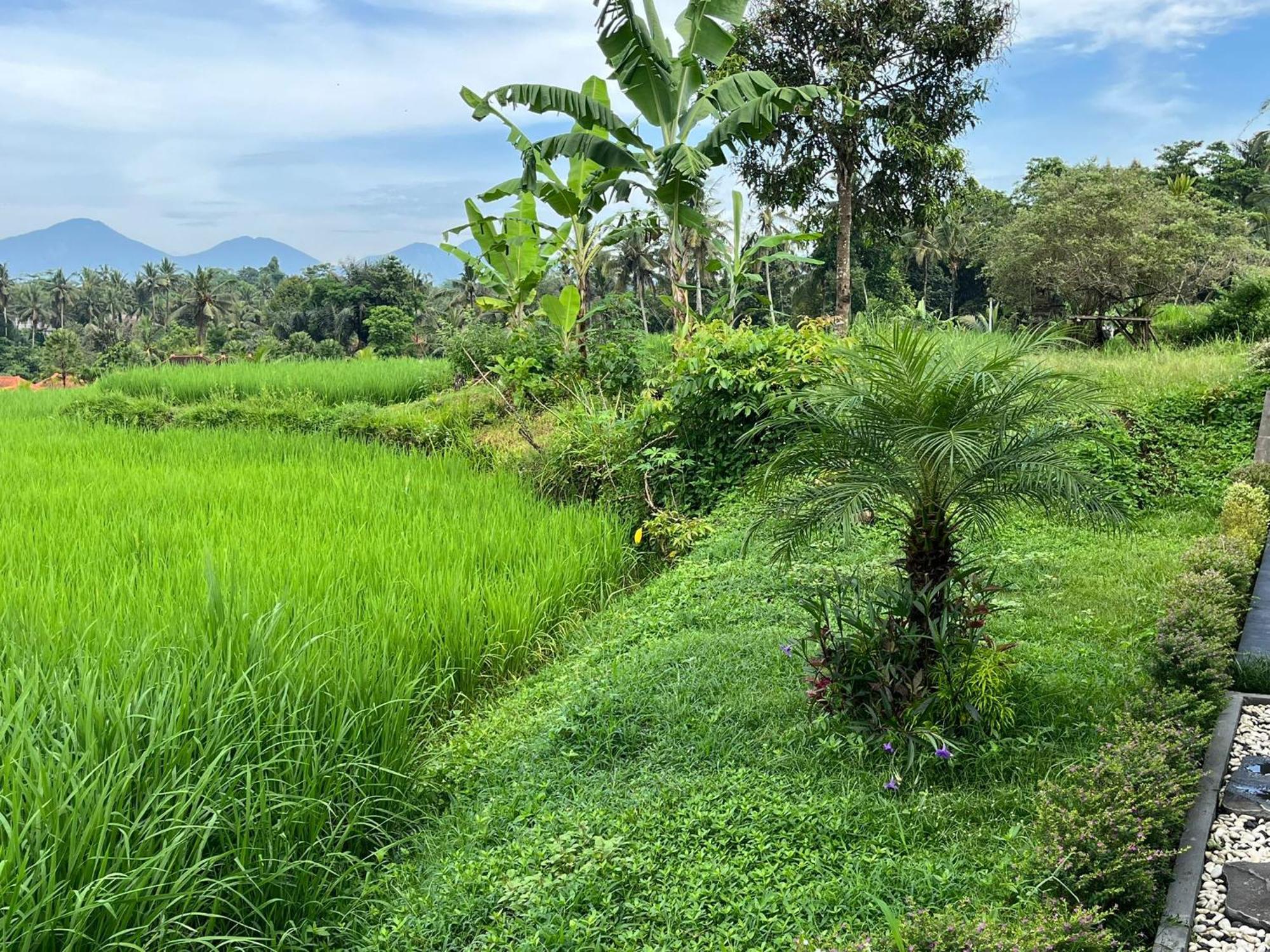 Maple Ridge Villa Ubud (Bali)