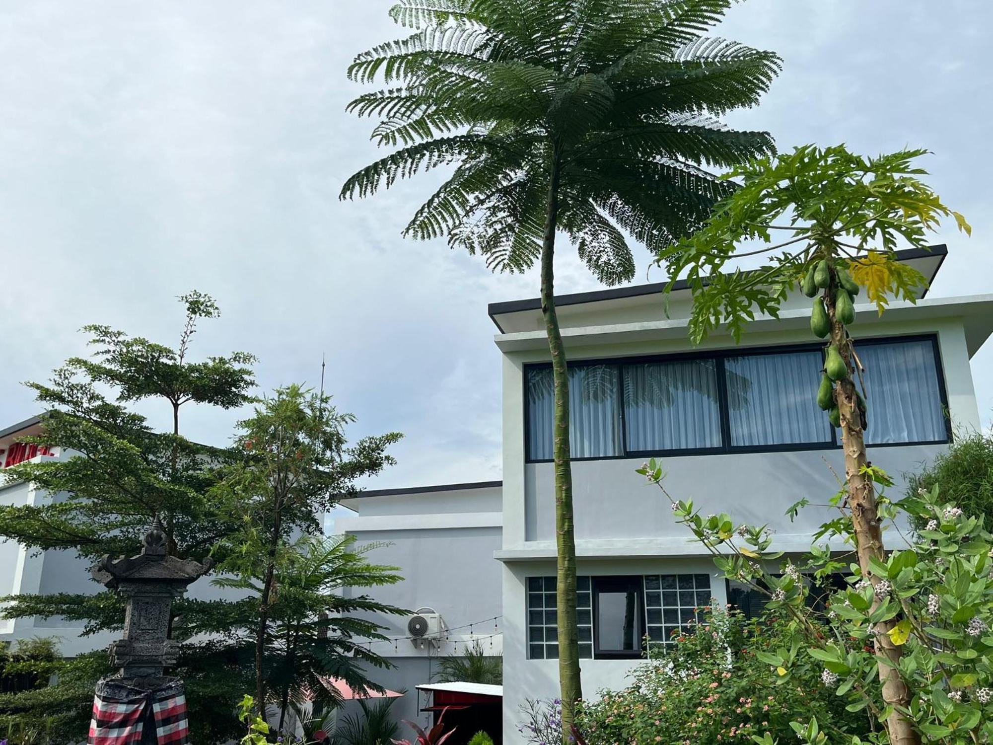 Maple Ridge * Ubud (Bali)